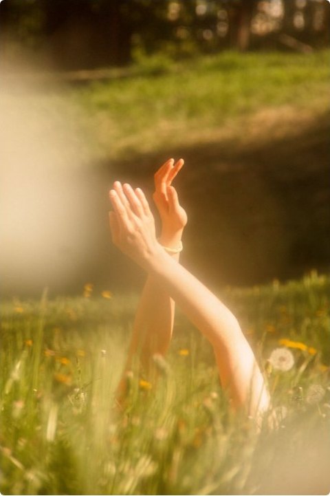 Hands raised toward the light in a sunlit meadow of dandelions