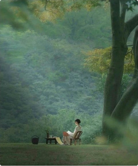A person reading at a small table on a misty green hillside