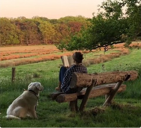 Reading on a wooden bench at dusk with a dog sitting nearby