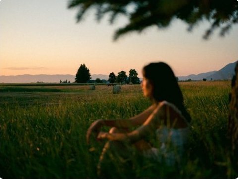A person sitting in a golden field at dusk with hay bales beyond