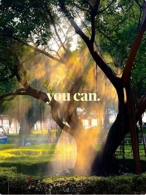 Light falling through a great tree in a garden, with the words you can