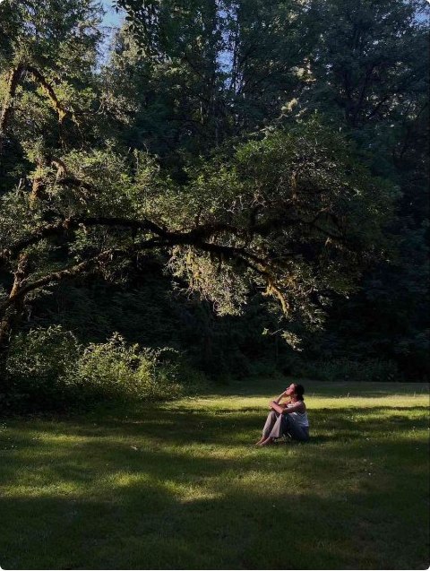 A person sitting alone in a sunlit clearing beneath a spreading tree