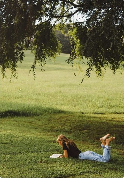 Reading on the grass in dappled shade beneath a willow