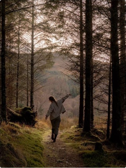 A walker on a mossy woodland trail in autumn light
