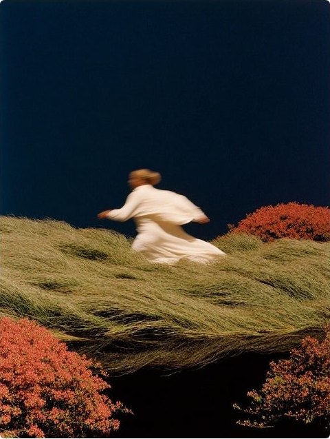 A figure moving through windswept grass at dusk beside autumn shrubs