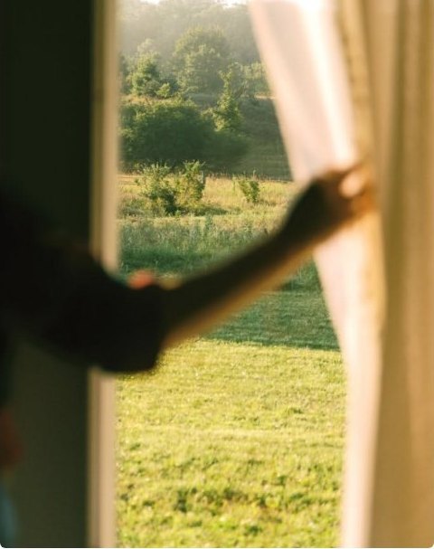 A hand drawing back a curtain onto a sunlit green field